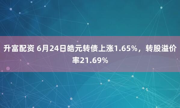 升富配资 6月24日皓元转债上涨1.65%，转股溢价率21.69%