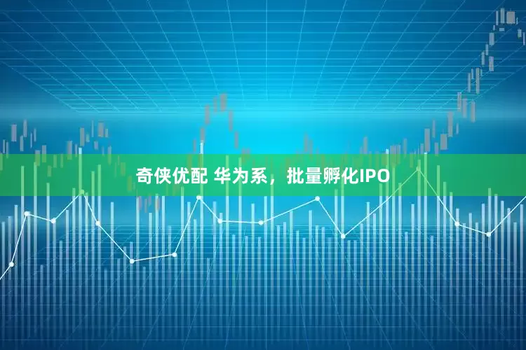 奇侠优配 华为系，批量孵化IPO